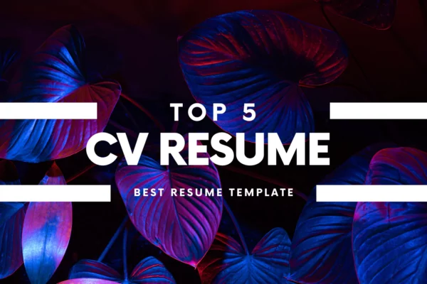 Top 5 Resume Templates Free Download