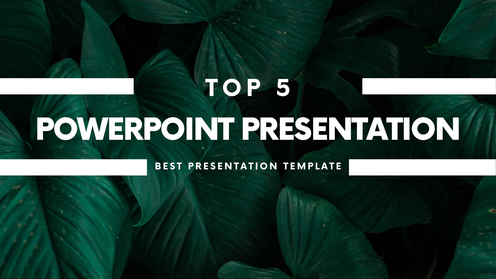 Top 5 PowerPoint Presentation Template Download | Free PPT
